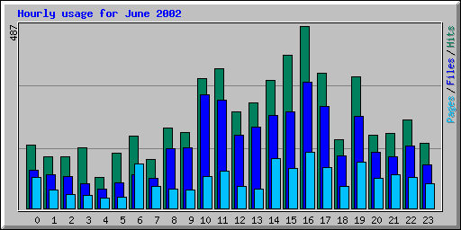 Hourly usage for June 2002